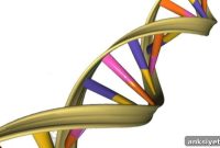 Two Genes Linked to Alzheimer’s in African Americans
