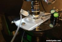 Robotic Cleaning Method Set to Automate Neuroscience Labs