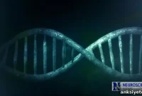 Common Mechanism Links Cancer, Aging and Inflammation