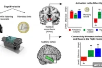 What the Brain Reveals About People Who Don’t Like Music