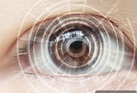 New Photoreceptor 50 Times More Efficient Than the Human Eye