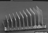 Targeted Electrode Implants Restore Movement After Paralysis