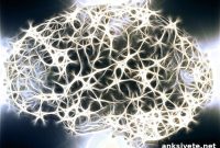 Stem Cells in Brain Membranes Produce New Neurons