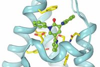 New Study Reveals How Epilepsy Drugs Block Brain Signals
