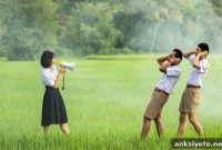 How Meaningful Sounds Impair Cognitive Task Performance