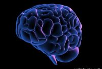 Early Alzheimer’s Symptoms: What to Watch For