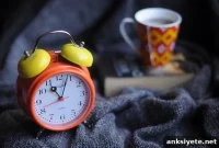 Brain Prevents New Memories on Waking to Protect Memory Consolidation