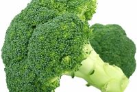 How Nutrition Affects Intelligence and Brain Health in Older Adults