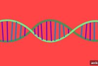 Genes Link Sleep Problems to RLS, Schizophrenia and Obesity