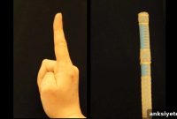 How Soft Robots Replicate Biological Movement
