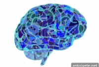 Defining Maturity in an Ever-Changing Brain