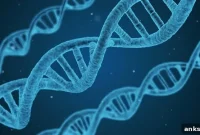 How Ancient DNA Harms and Protects Modern Minds