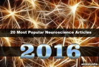 20 Breakthrough Neuroscience Stories from 2016