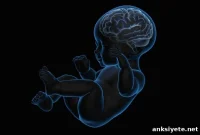 Study: Adult Brain Injury Drug May Worsen Children’s Cognition