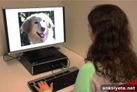 Why Empathetic People Read Dogs’ Expressions More Deeply