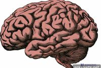 Could Ketamine Prevent PTSD Symptoms After Trauma?
