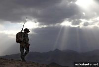 Decades-Long Study Tracking Mild Traumatic Brain Injury