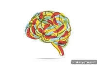 How Humor Rewires Your Brain