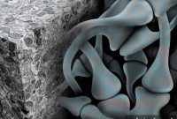 How AI Is Unraveling the Mysteries of the Brain