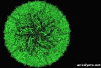 Prenatal Maternal Infections Linked to Autism Genetic Risk