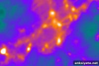 Real-Time Imaging Inside a Live Neuronal Synapse