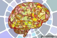 Lab-Grown Mini Brains in a Petri Dish