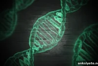 Gene Variant Linked to Night Owl Chronotype, Study Finds