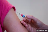 Protein That Boosts Vaccine Effectiveness Discovered