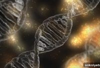 Researchers Identify 26 New Genes Linked to Intellectual Disability