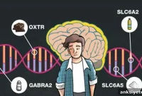 Do Your Genes Shape Your Food Preferences?