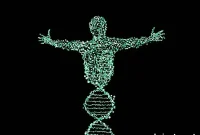 Breakthrough Discovery Could Transform Spinal Cord Injury Repair
