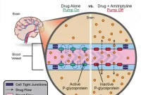 Antidepressants Could Boost Drug Delivery to the Brain