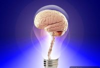 Targeted Brain Stimulation Boosts Memory and Performance
