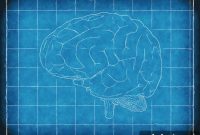 How Brain Activity Differs in Men vs Women with Obesity