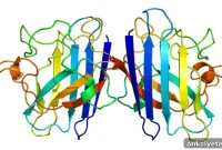 Shared Protein Abnormality Found in Parkinson’s Disease and ALS