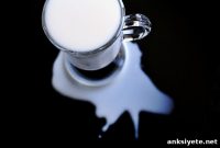 Does Low-Fat Dairy Increase Parkinson’s Risk?