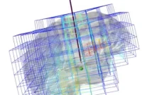 Building Brain Models With LEGO Bricks