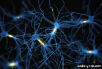 Real-Time Brain Activity Snapshot