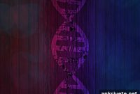 Lunatic Fringe Gene Unlocks Brain Regeneration