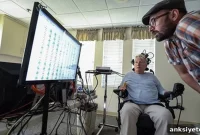 How the Brain Encodes Body Movements