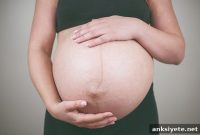 Maternal High-Fat Diet Raises Mental Health Risks in Offspring