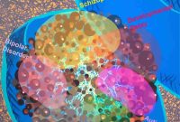 New Brain Map Reveals Drug Targets for Complex Disorders