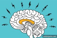 Brain Cell Changes Behind Anxiety Revealed