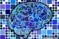 How Childhood Brain Development Shapes Reasoning