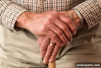 Reaction Time Variability Signals Mortality Risk in Older Adults