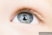 How Repeated Exposure Trains the Brain to Recognize Faces