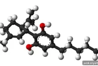 Could CBD Reduce Psychiatric Risk from High-THC Cannabis?
