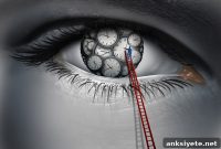 Inside the Circadian Rhythm: How Your Biological Clock Works