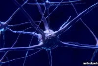 New Learning Rule Reveals How Memories Are Stored