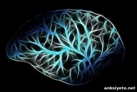 Visual Memory Reactivation: A New Alternative to Practice